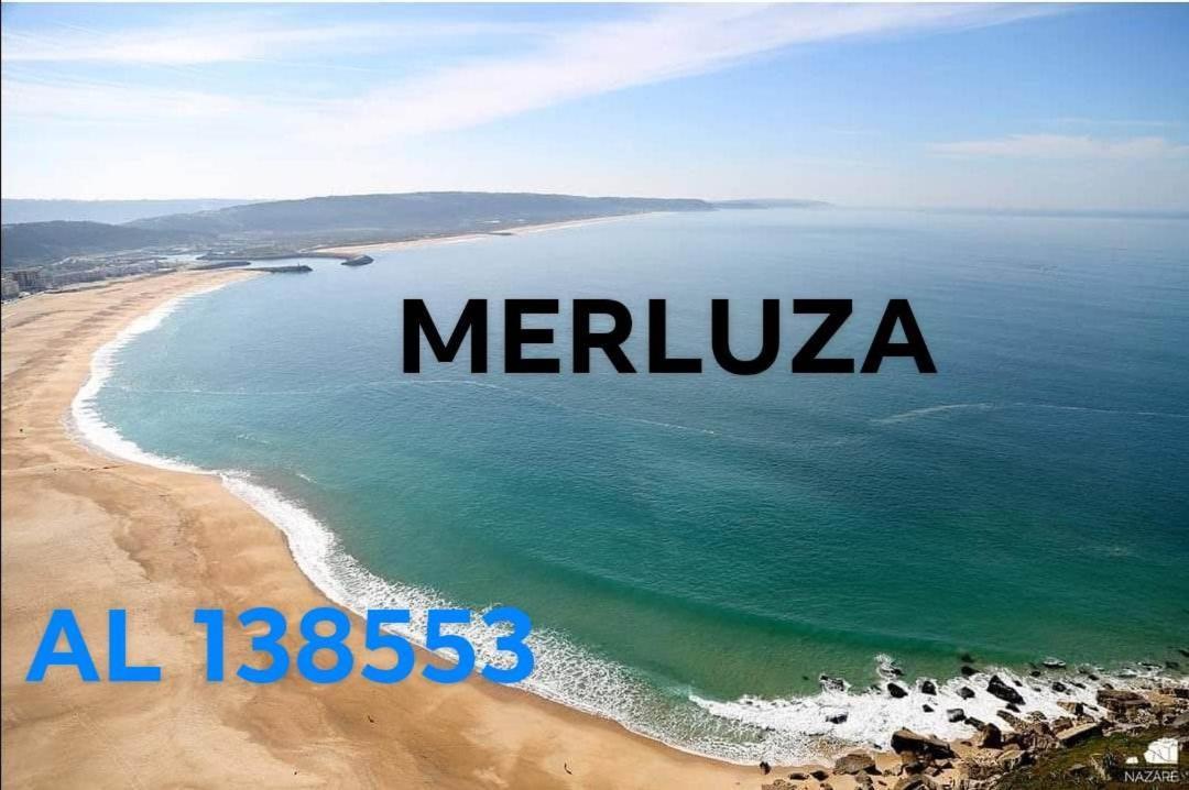 Apartment Merluza *